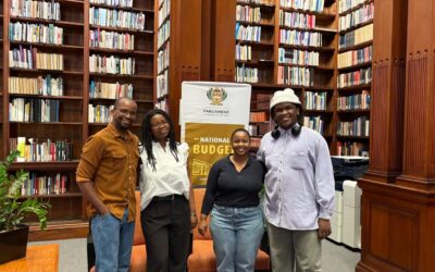 Youth Capital Heads to Parliament to Put Young Voices at the Table