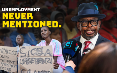 Godongwana leaves millions of unemployed young people out of the Medium-Term Budget Policy Statement